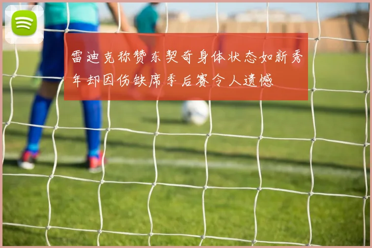 雷迪克称赞东契奇身体状态如新秀年却因伤缺席季后赛令人遗憾
